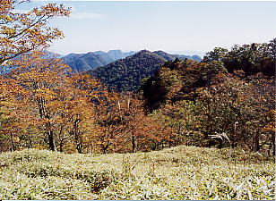 �����ʂ̓W�]