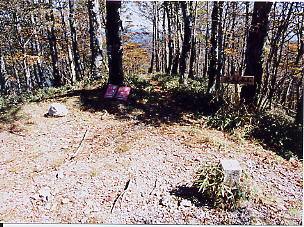 �r�؉��R�̎R��