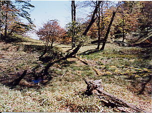 �r�؉��R�̒r