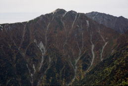 �w���x���猩����؊x