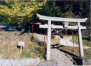 �\���_��