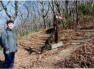 ����ւ̕���