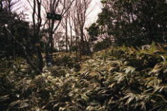 �����R�R��