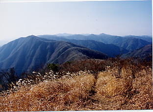 ���ォ��̓W�]