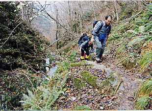 ��㕔�̒J���s��