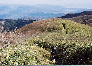 �������s��