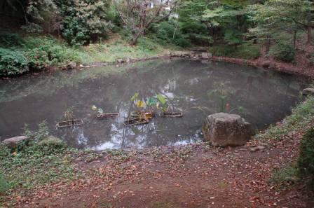 �����u�̃h�J���r