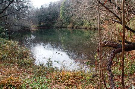 �ʏ��̒��r