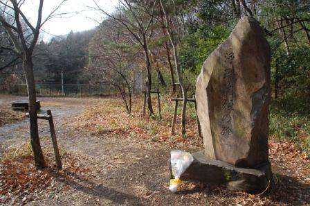 ��ڗ��P�̔�