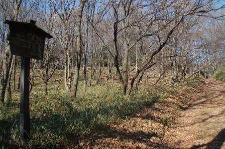 ����H��̖{�ې�