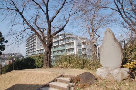 ���쏬���̌��m��