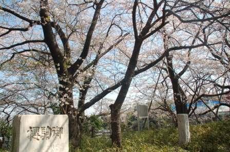 �u�����v