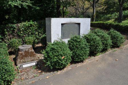 �������M����