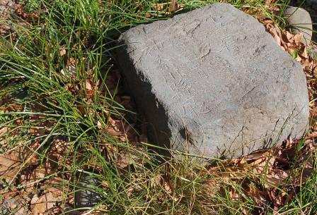 ��������̐��ʕW��