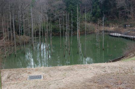 ����̑�c�ؒr