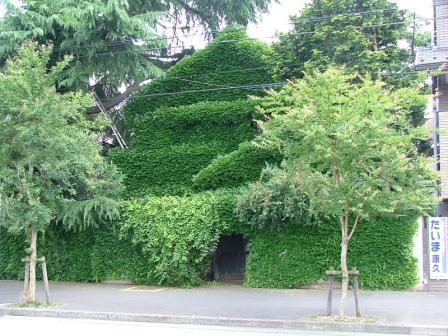 �����q�V�s