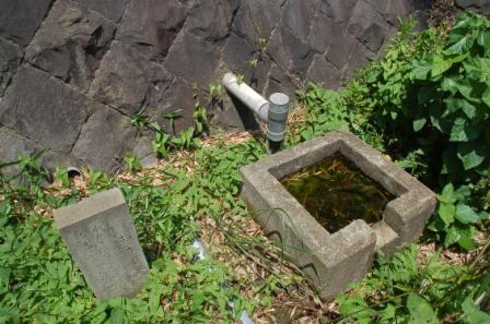 �����̖���