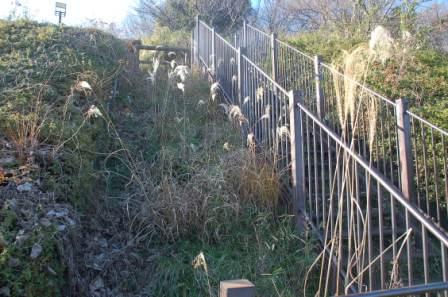 �����J�ˌ����̘I��