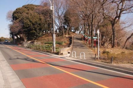 �V���X����