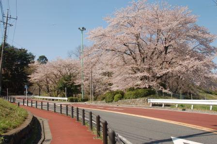 �g����͍�h