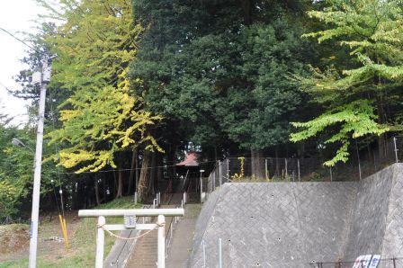 �F�Êт̃��b�p�C�`���E