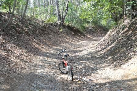 �����̌��̓�