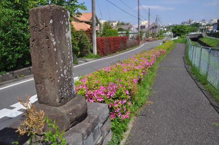 �����q�����W