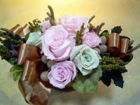 �����C���[�W