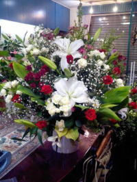 �����C���[�W