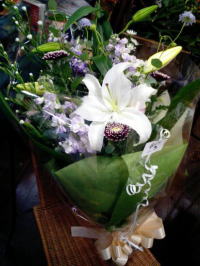 �����C���[�W