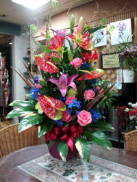 �����C���[�W