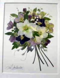 �����C���[�W