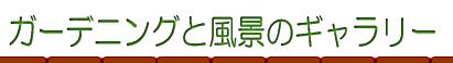 ガーデニングと風景のギャラリー