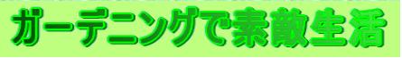 ガーデニングで素敵生活
