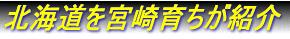 北海道を紹介、宮崎育ちが・・・