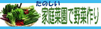 『 たのしい家庭菜園で野菜作り 』