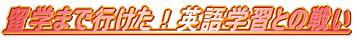 「留学まで行けた!英語学習との戦い」