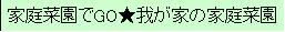 『家庭菜園でGO★我が家の家庭菜園』