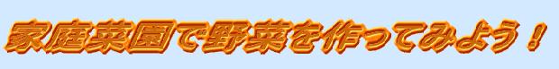 家庭菜園で野菜を作ってみよう!