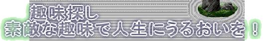 趣味 趣味探し 素敵な趣味で人生にうるおいを!