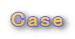 Case