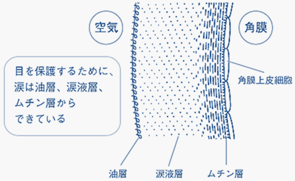 �ڂ�ی삷�邽�߂ɁA�܂͖��w�A�܉t�w�A���`���w����ł��Ă���