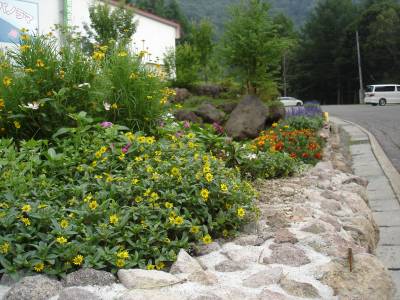 �����̂��}��