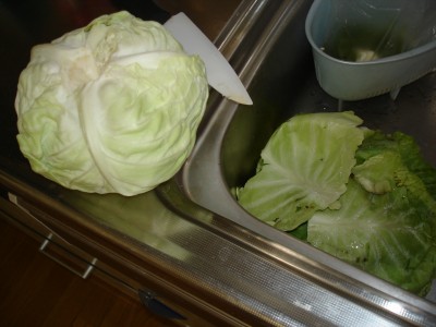 �����L���x�c