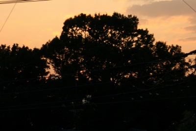 ���₩�ȓ�