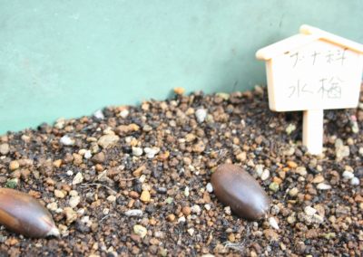 �ǂ񂮂�̔���