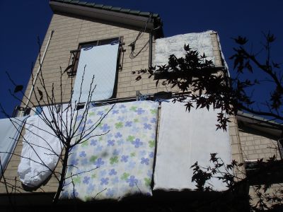 �z�c����