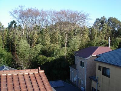 ���������܂�