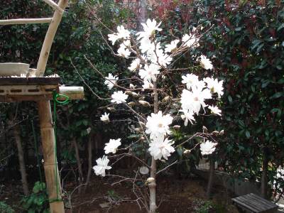 �Q�O�P�O�P���Ԃ�