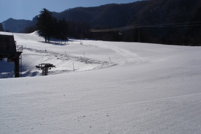 ���t�̃X�L�[��